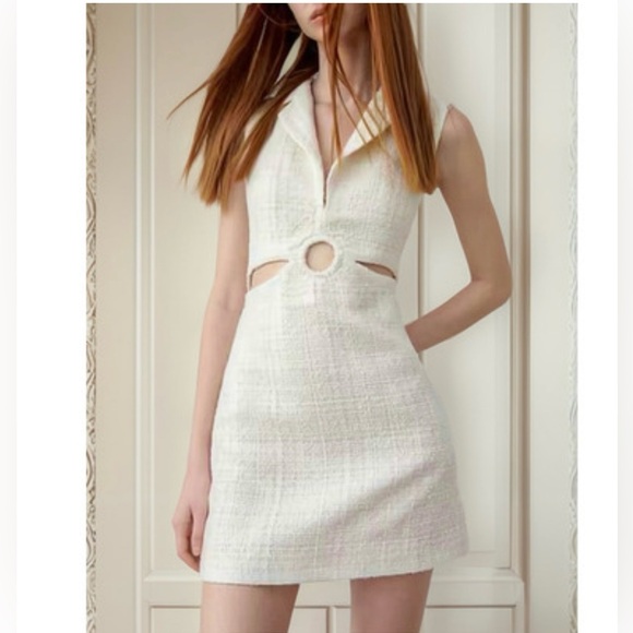 Zara Textured Cutout Mini Dress - Picture 4 of 16